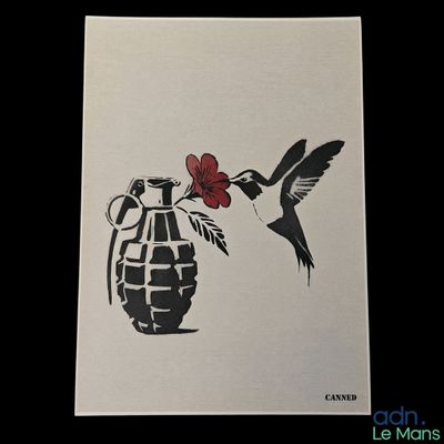 tableau représentant un colibri et une grenade contenant une fleur
