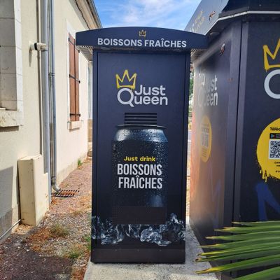 deux poubelles placées l'une à côté de l'autre au bord de la rue