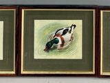 three framed paintings of ducks on a wall in a room