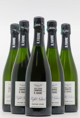 six bouteilles de vin sont alignées sur une surface blanche