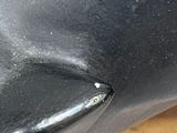 a close up of a dolphin statue on a wooden surface