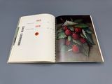 an open book with a picture of raspberries and leaves on it