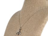 a close up of a mannequin torso with a necklace on it