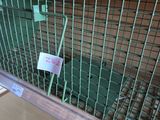 a bird cage that has a bird inside of it