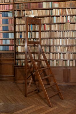 une échelle posée devant une bibliothèque