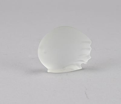 objet blanc en forme de coquillage posé sur une surface blanche, sur fond gris clair