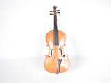 an image of a violin sitting on top of a white surface