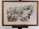 Photo 4/6 du lot