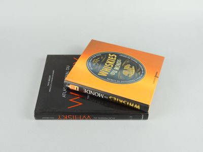 deux livres sont empilés l'un sur l'autre sur une surface blanche