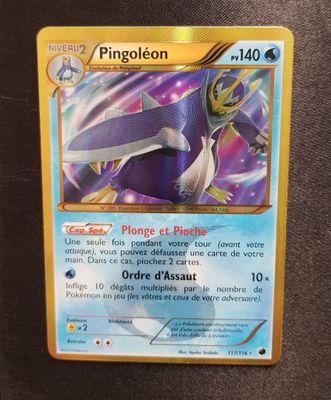 NOIR ET BLANC Glaciation plasma - Pingoleon 117/116 - Near m…