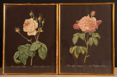 Paire de gravures en couleur milieu XX°
