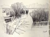 drawing of a boat in a lake with reeds and a boat in the water