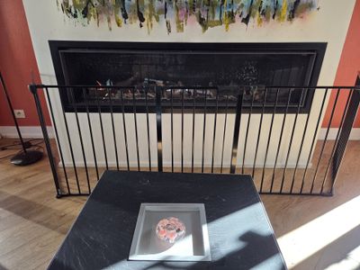 Cheminée programmable gaz de ville Liebherr et pare-feu