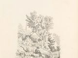a drawing of a house in a wooded area with trees and bushes
