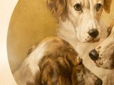 three dogs that are sitting together in a picture
