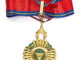 un gros plan d'une médaille sur un ruban, entourée d'un ruban