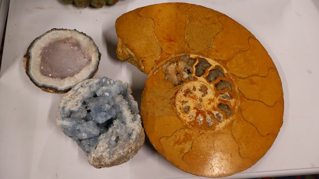 Lot de 3 minéraux et fossile