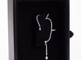 necklace in a black box on a white background photo