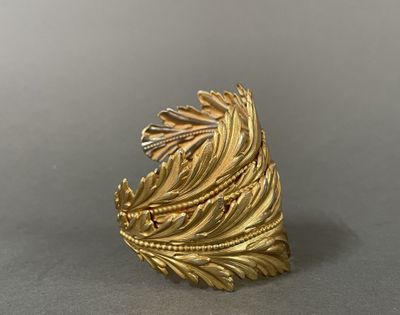 an image of a gold ring with a leaf design on it