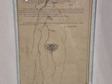 a picture of a picture of a human body in a frame