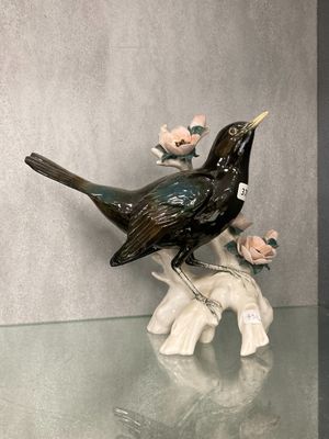 un oiseau noir perché sur une branche d'arbre
