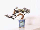 un petit bonsaï dans un vase bleu posé sur une table blanche