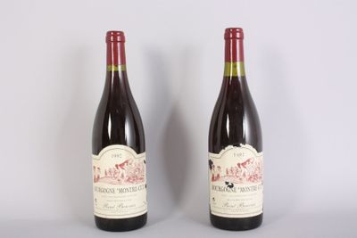 deux bouteilles de vin rouge posées l'une à côté de l'autre sur une table