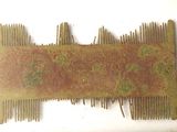 a picture of a piece of art made out of grass