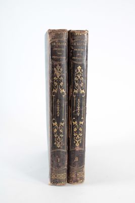 une paire de livres anciens sur fond blanc