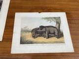 two elephants that are standing next to each other on a table