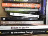 Photo 5/5 du lot