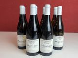 six bouteilles de vin sont alignées sur une table
