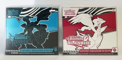 deux cartes à collectionner Pokémon issues du jeu de cartes à collectionner Pokémon