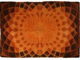 une photo d'un tapis orné d'un motif floral