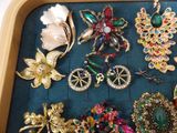a lot of brooches in a tray on the table