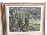 two framed pictures of trees in the woods