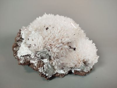 a close up of a piece of rock with a white substance on it