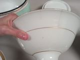a person that is holding a white bowl in their hand