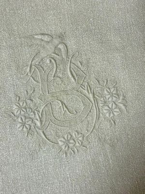 an image of a close up of a white towel with a bird on it