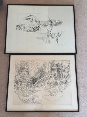 deux dessins encadrés représentant un lézard et un poisson sur un tapis