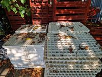 Lot de cagettes et plateaux (plaques de 150 et 220 trous). (photo 4)