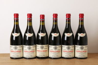 six bouteilles de vin rouge alignées sur une table en bois