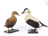 une paire de canards posés sur des socles noirs, sur fond blanc