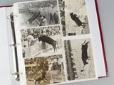 un livre ouvert contenant des images de personnes et d'animaux