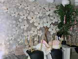 une pièce où il y a un bouquet de fleurs accroché au mur