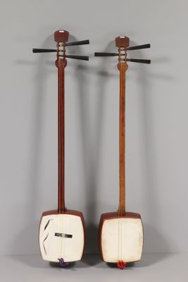 une paire d'instruments de musique exposés devant un mur gris