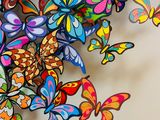 many different colored butterflies that are on the wall