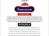 Photo 2/2 du lot