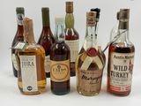 Des bouteilles de différents types d'alcool sont alignées sur une surface blanche