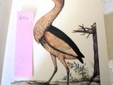 une photo d'un oiseau perché sur un post-it